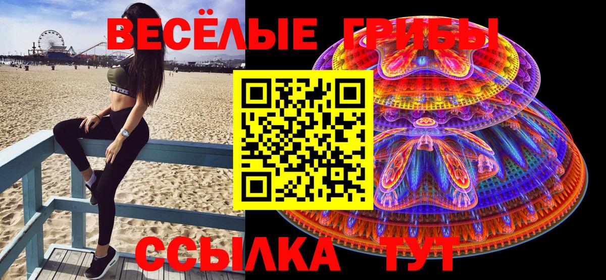 Узловая  Галлюциногенные грибы мицелий  Вход с VPN 